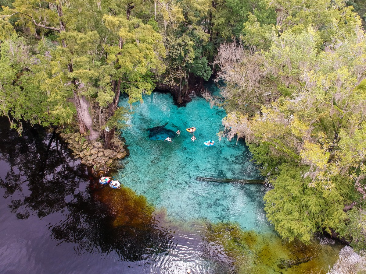 Devil’s Spring System (Ginnie Springs) – First Magnitude Florida