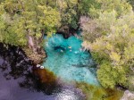 Devil’s Spring System (Ginnie Springs) – First Magnitude Florida